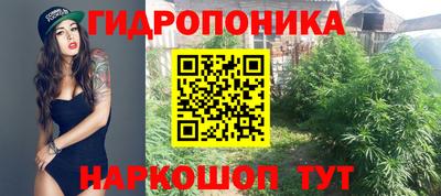 прущие крисы Аргун