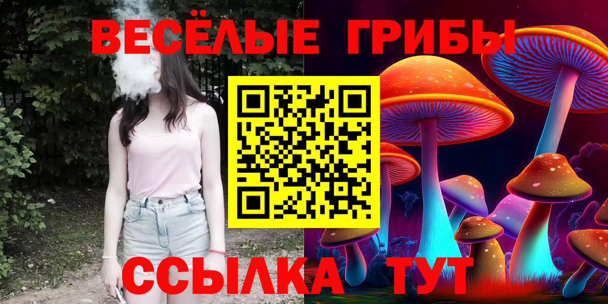 Галлюциногенные грибы GOLDEN TEACHER  Псилоцибиновые грибы прущие грибы  Вход с VPN  Балаково 